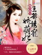 爆笑王妃王爷嫁到啦免费阅读