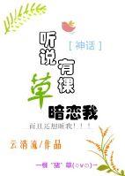 听说你有个心愿(快穿)