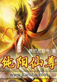 纯阳仙尊女主